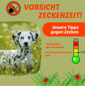 Zeckenzeit